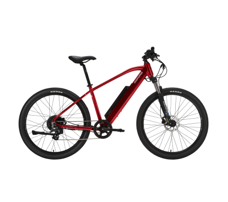 bicicleta electric