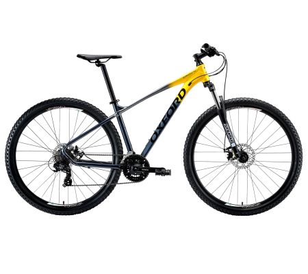 BICICLETA ARO 29 ORION 4 TITANIO