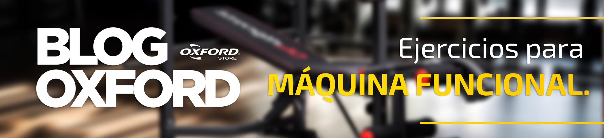 ¿Qué ejercicios se pueden hacer en una máquina multifuncional?