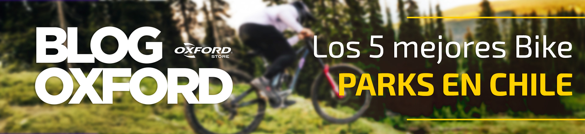Los 5 mejores Bike Parks en Chile para vivir la máxima adrenalina