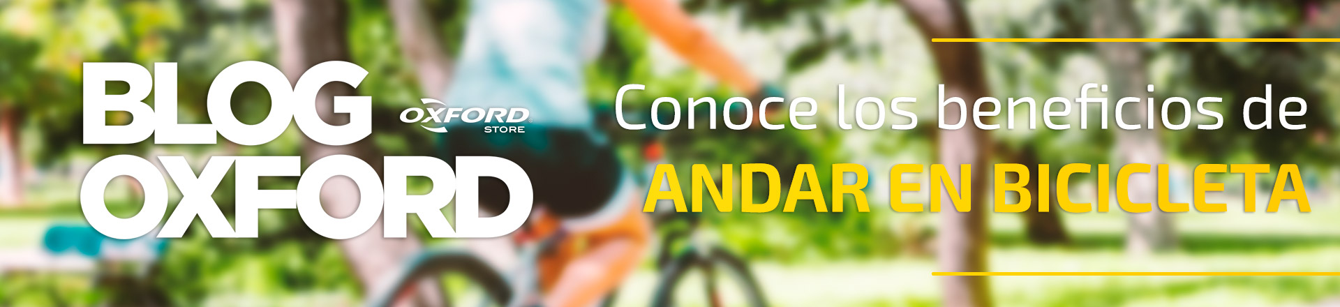 10 Beneficios de Andar en Bicicleta