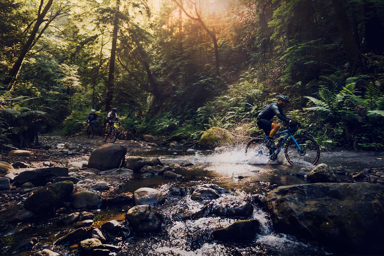 cicloturista