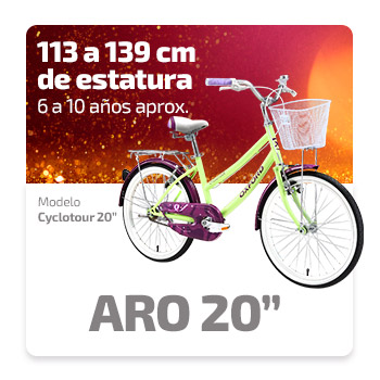 bicicletas aro 20
