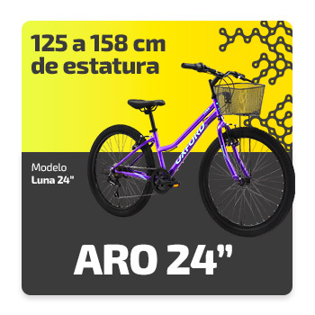 bicicletas aro 24