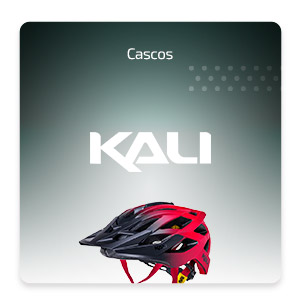 bicicleter&iacute;a y cascos