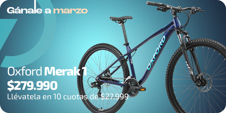 Bicicleta Merak 1