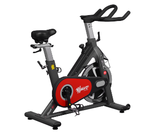 maquina spinning