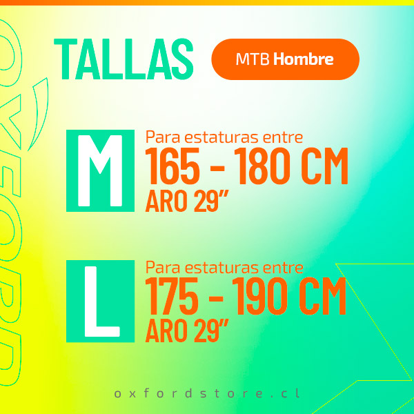 Cuadro Tallas Orion